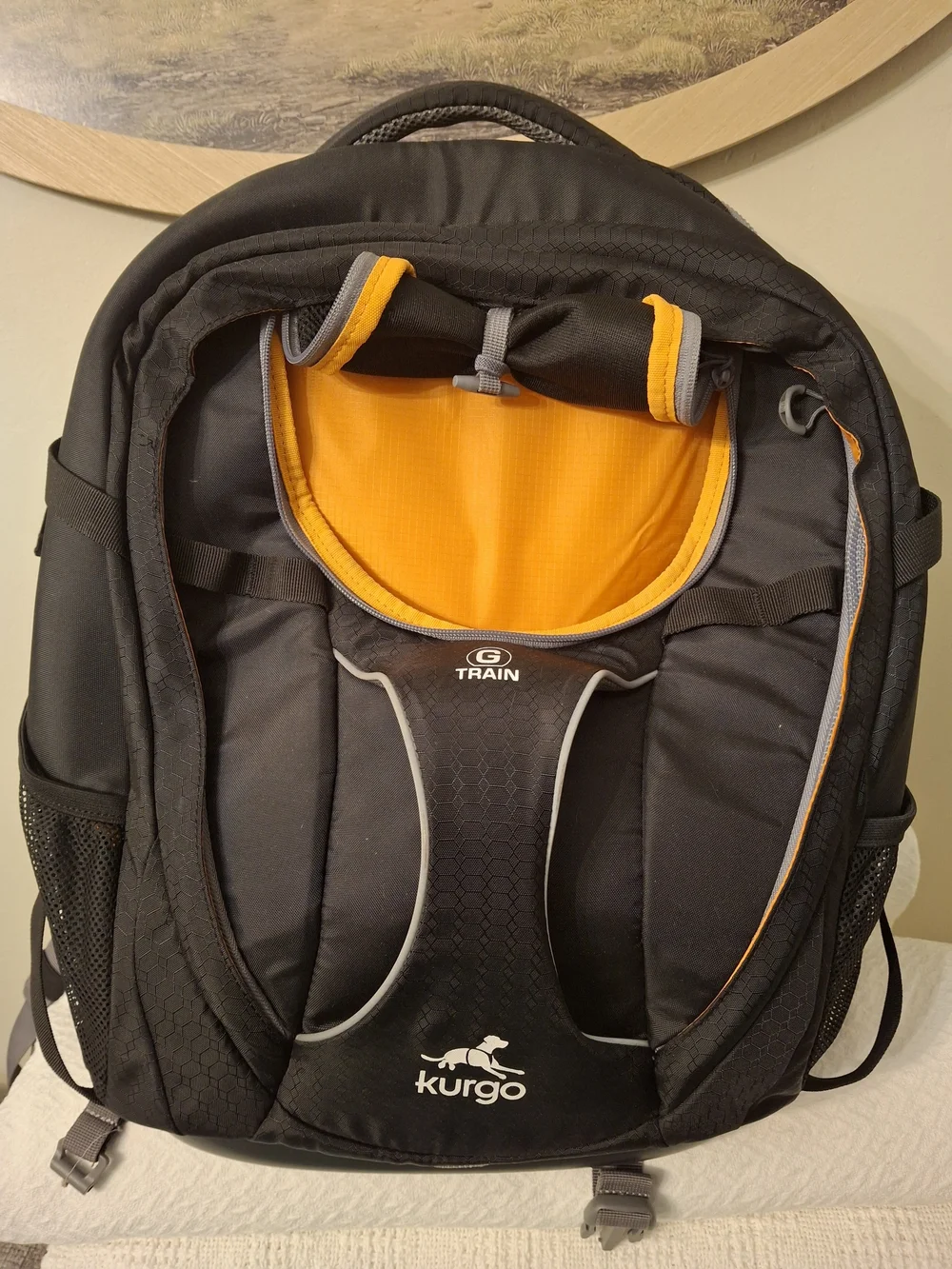 ✨ LIKE NEW ✨ Kurgo G-Train Dog Carrier Backpack (Black/Orange)